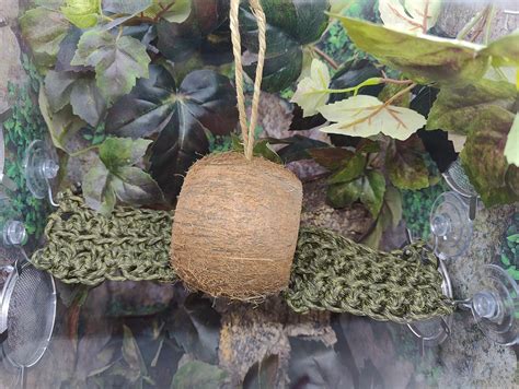 Hanging Coconut Hide With 2 Paracord Bridges Etsy