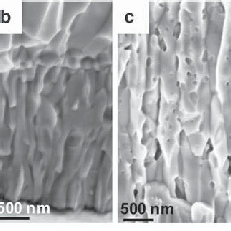 Fractured Cross Section Of Oxide Scale Formed At C During H