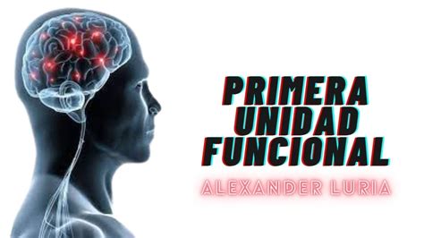 Primera Unidad Funcional de Luria modelo de organización cerebral