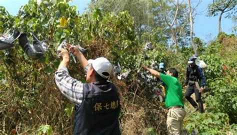 非法架設鳥網 攔捕禽鳥惡行真不可取 ｜ 一零一傳媒 手機版