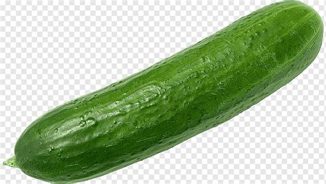 Cucumber Vegetable Organic Food Zucchini Fruit High Resolution S