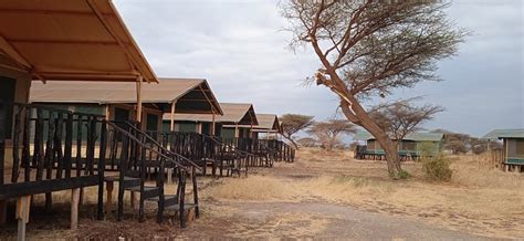 Nyati Safari Camp Amboseli National Park Kenya Tarifs 2024