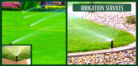 Irrigation And Drainage Basics Landscpaing Co Inc