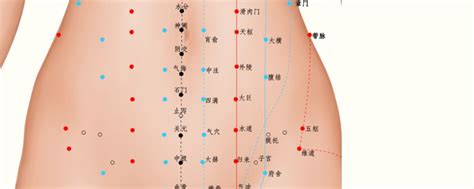 女性肚子部位图肚子经络图 伤感说说吧