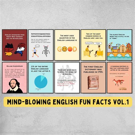 20 Rare English Language And Grammar Fun Facts Eggcellent Educator