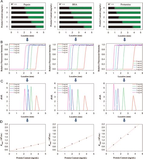 Calibration Curves Determination Of Three Proteins Via Acid Mrbe Download Scientific Diagram