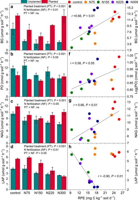 Changes In Activities Of Glucosidase Bg A Phenol Oxidase