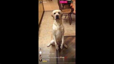 Наталья Варвина в прямом эфире Instagram 10.02.2017 - YouTube