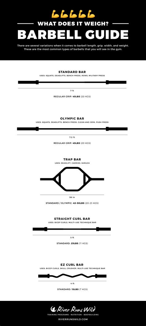 Guide To Barbell Weights Lengths And Types — River Runs Wild Ftm