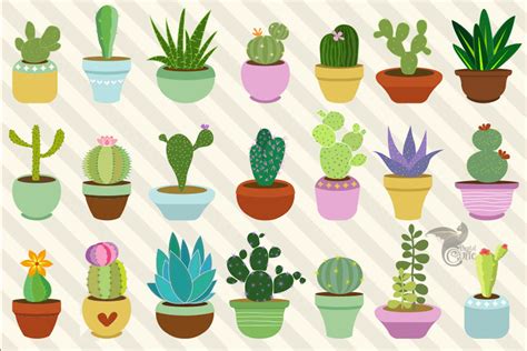 Cactus And Succulents Clipart 87163 Illustrations Design Bundles