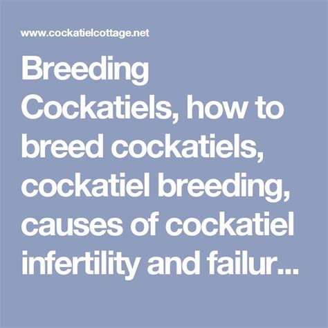 The Text Reads Breeding Cocktails How To Breed Cocktails Cocktails And