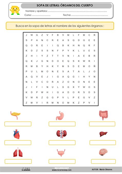 Sopa Letras Organos