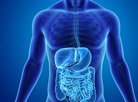 Gastro-Enterology - Bhanavi Hospital