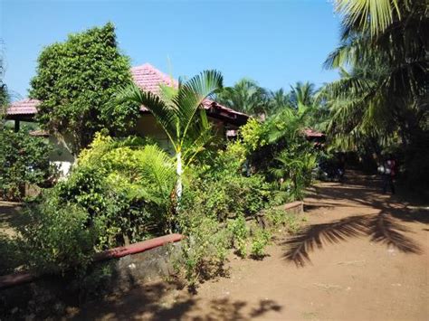 Harihareshwar Beach Resort (Maharashtra) - Hotel Reviews, Photos, Rate Comparison - TripAdvisor