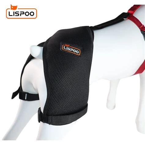 Dog Hip Dysplasia Brace Kindlydogs
