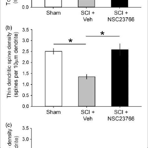 Dendritic spine density. (a) Total dendritic spine density was ... 