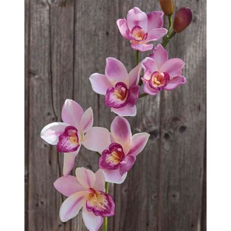 Acheter des Tige d orchidée Cymbidium artificielle YOLADA rose blanc 85cm