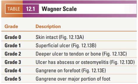 Vascular Wounds Flashcards Quizlet