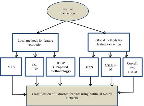 Classification Of Feature Extraction Methods Download Scientific Diagram