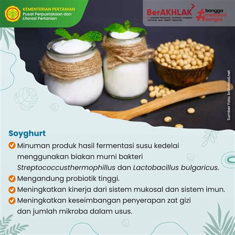 Info Teknologi Soyghurt Kedelai Minuman Probiotik Untuk Kesehatan