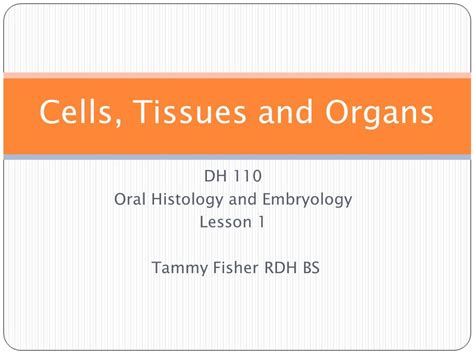 Dh Oral Histology And Embryology Lesson Tammy Fisher Rdh Bs Cells