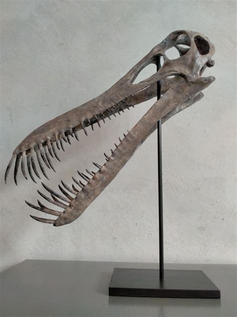 NEW 40CM Pterosaur Boreopterus Skeleton Model Yayl 2020 Etsy Ireland