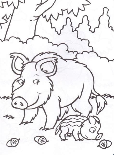 Coloriage Sanglier 19 et dessin gratuit à imprimer Dessine les