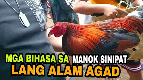 GROTTO PET MARKET MGA QUALITING MANOK NA HANAP NIO NANDITO LANG YouTube