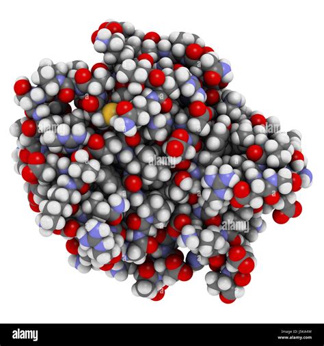 KRAS Kirsten Rat Sarcoma Viral Oncogene Homolog Fragment Protein 3D