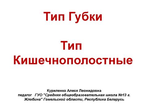 Тип Губки. Тип Кишечнополостные - online presentation