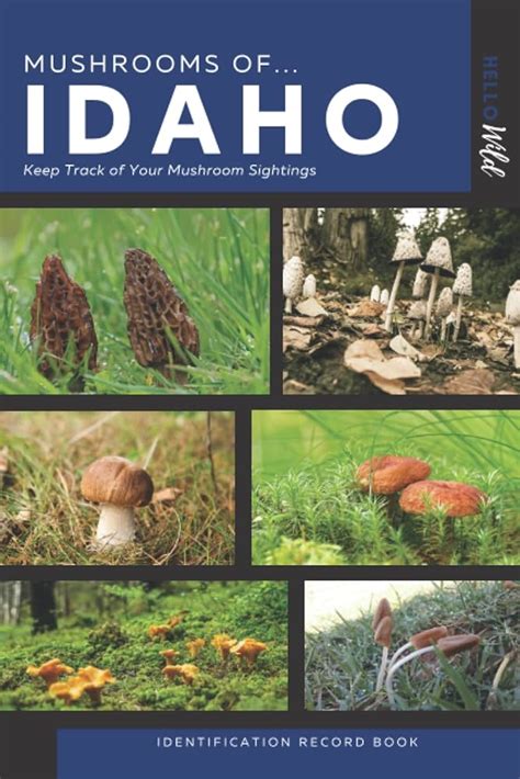 The Mushroom Species Of Idaho Nature Blog Network