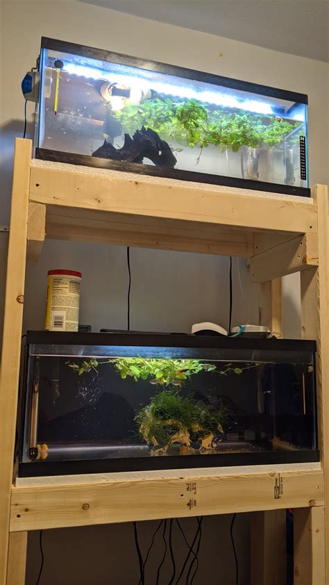 Double Decker 20 Long W Stand British Columbia Aquarium Forums