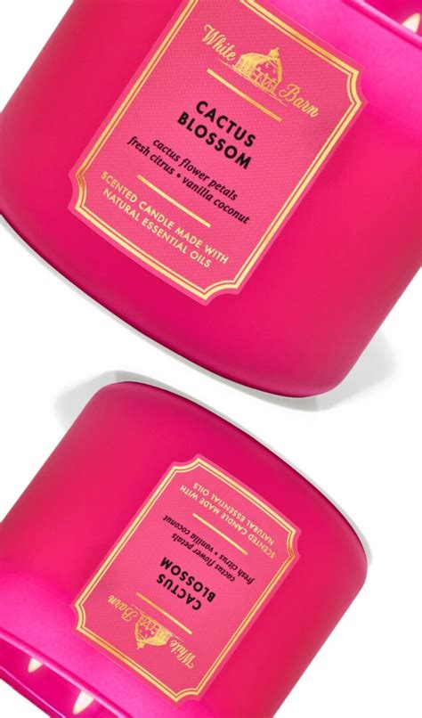 16 Best Bath And Body Works Candles Strongest Scents