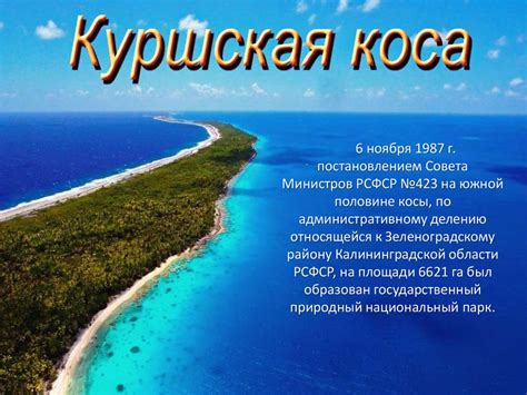 Куршская коса – объект всемирного наследия, уникальное природное и ...
