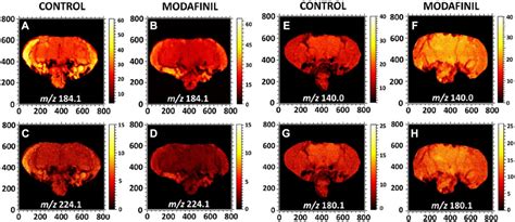 Frontiers Advancements In ToF SIMS Imaging For Life Sciences