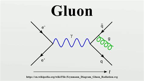 Gluon - YouTube