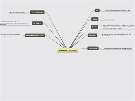 Sistema Linf Tico Mind Map