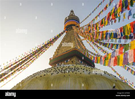 Boudhanath Stupa With Hundreds Of Pigeons And Prayer Flags In Kathmandu