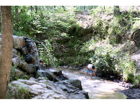 Angelina National Forest A Texas National Forest Located Near Lufkin