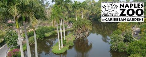 Arbnet | Naples Zoo at Caribbean Gardens