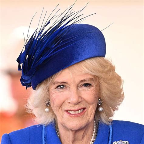 Camilla From Mistress To Queen Consort Monitor