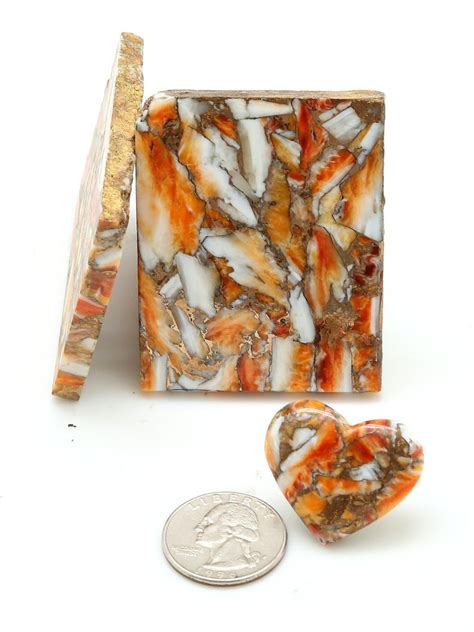 Spiny Oyster Shell W Bronze Kingman Turquoise Block Slab Cabochon