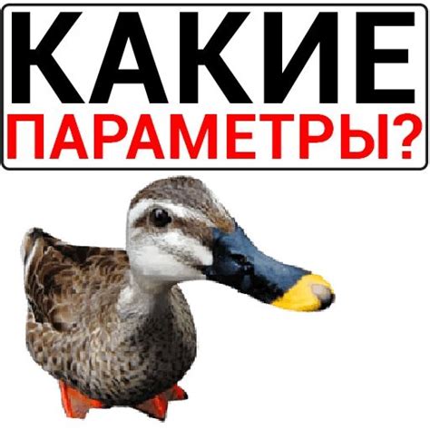 Набор стикеров для Telegram «Злая утка»