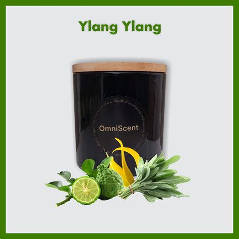 Candle - Ylang Ylang | OmniScent Perfumes