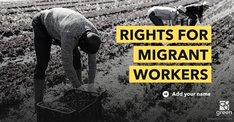 Ford silent on migrant workers’ rights | Ontario Greens