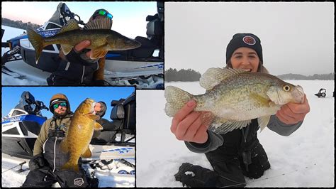 Ice Fishing CRAPPIES WALLEYES BASS Catch And Cook YouTube