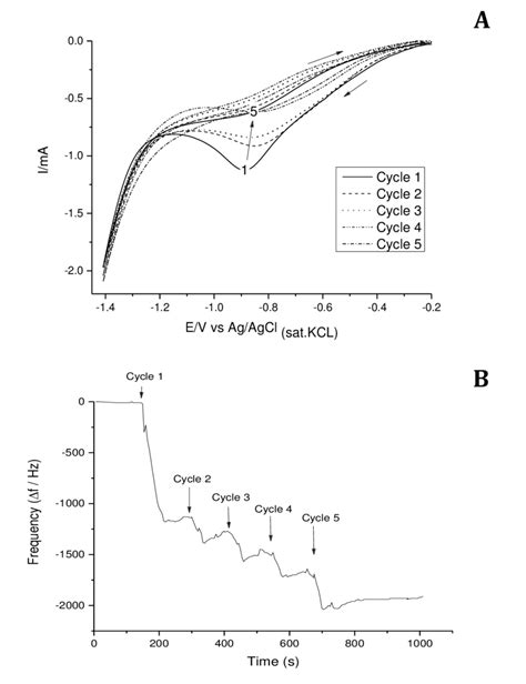 5 Cyclic Voltammograms 1 5 Illustrating The ECIP Of PAM In PBS PH