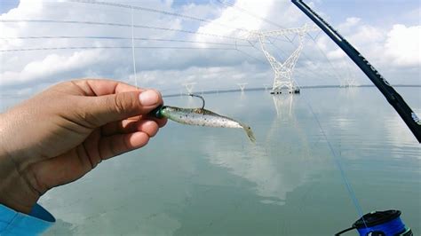 Pesca Con Camar N Artificial Laguna De Tampamachoco Tuxpan Ver