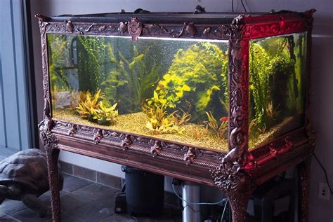 50 Best Diy Aquarium Decorations Ideas Amazing Aquariums Aquarium