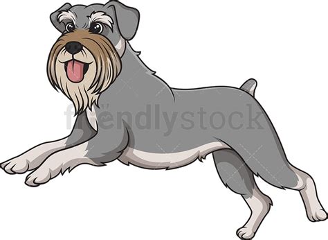 Standard Schnauzer Running Cartoon Clipart Vector FriendlyStock